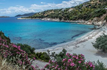 A view of the beach from a slightly raised inland perspective